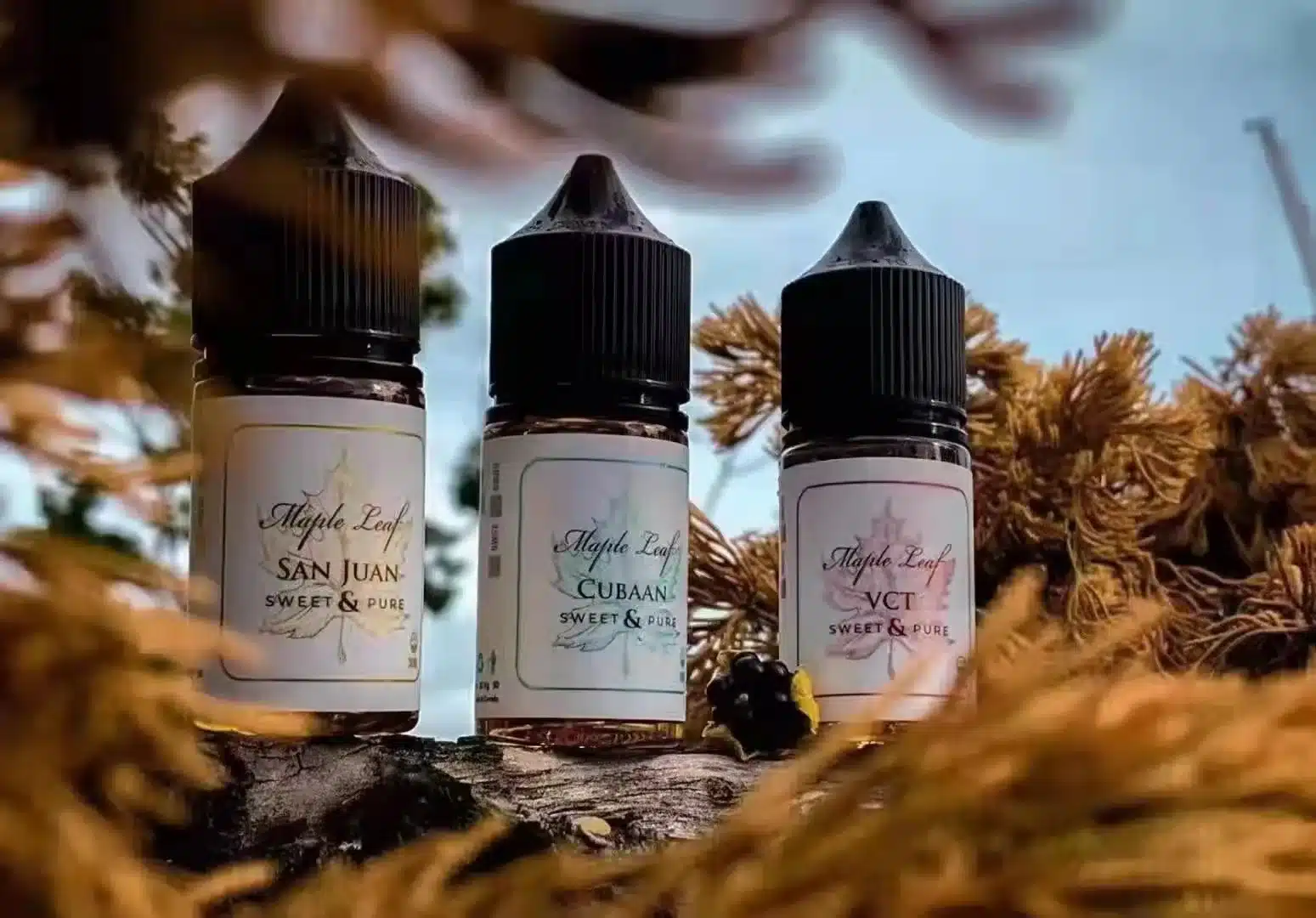 MAPLE LEAF楓葉煙油