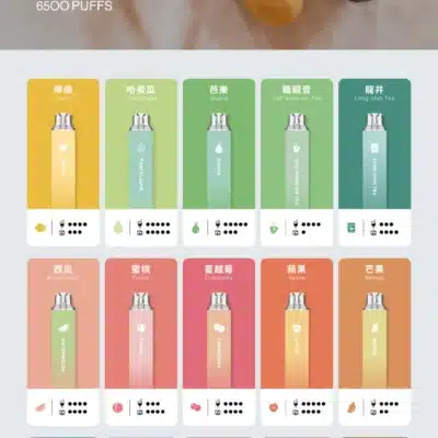 TUTX 拋棄式電子煙6500口